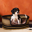Goodee-Baba Tree-Medium Dog Bed Basket - Color - Brown & Natural