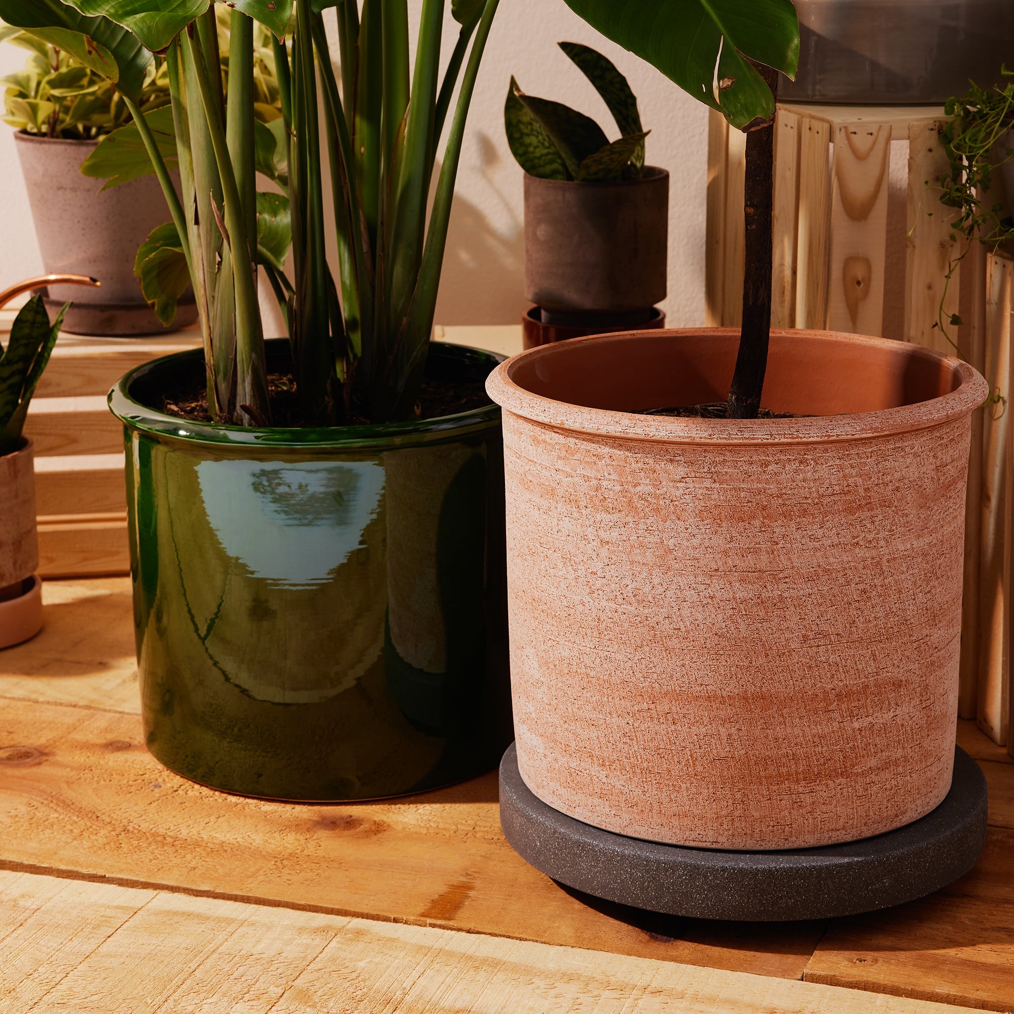 Goodee-Bergs Potter-Modena Ø35 Planter & Saucer - Color - Raw Rosa