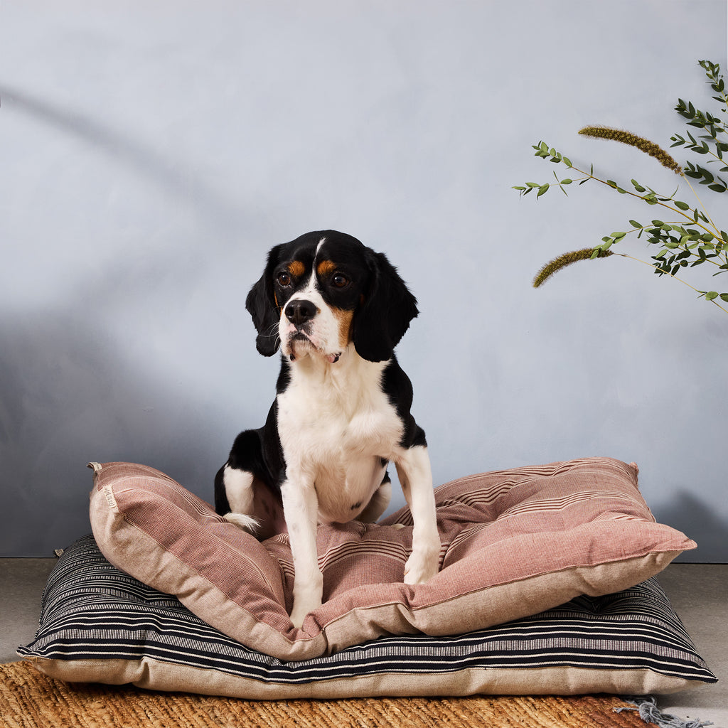 Goodee-Tensira-Dog Bed - Color - Brown & Off-White Stripe