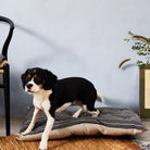 Goodee-Tensira-Dog Bed - Color - Black & Off-White Stripe