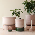 Goodee-Bergs Potter-Hoff Planter 18 - Color - Raw Rosa