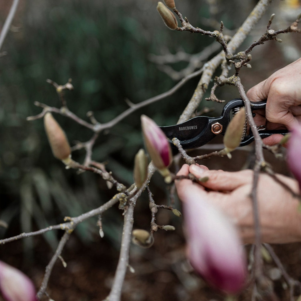 Goodee-Barebones-Secateur de jardin