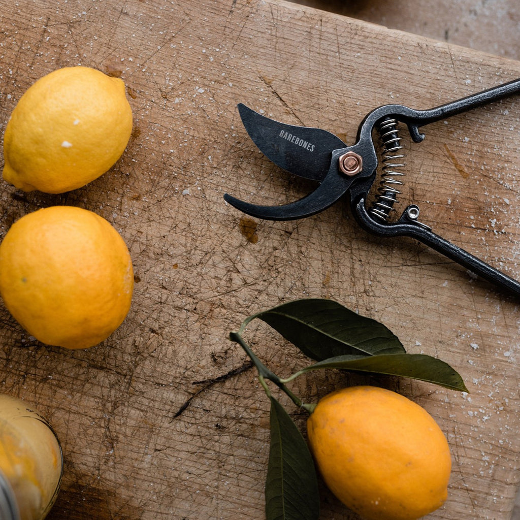 Goodee-Barebones-Secateur de jardin