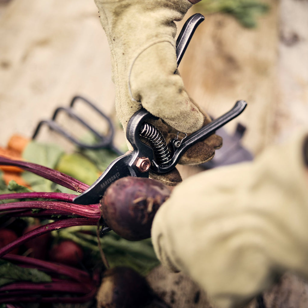 Goodee-Barebones-Secateur de jardin