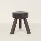 Goodee-Frama-AML Stool - Color - Dark Pine