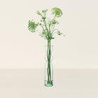 Goodee-LSA International-Canopy Trio Vase Set L