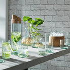 Goodee-LSA International-Canopy Vase
