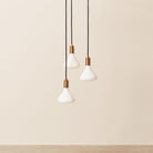 Goodee-Tala-Noma Bulb
