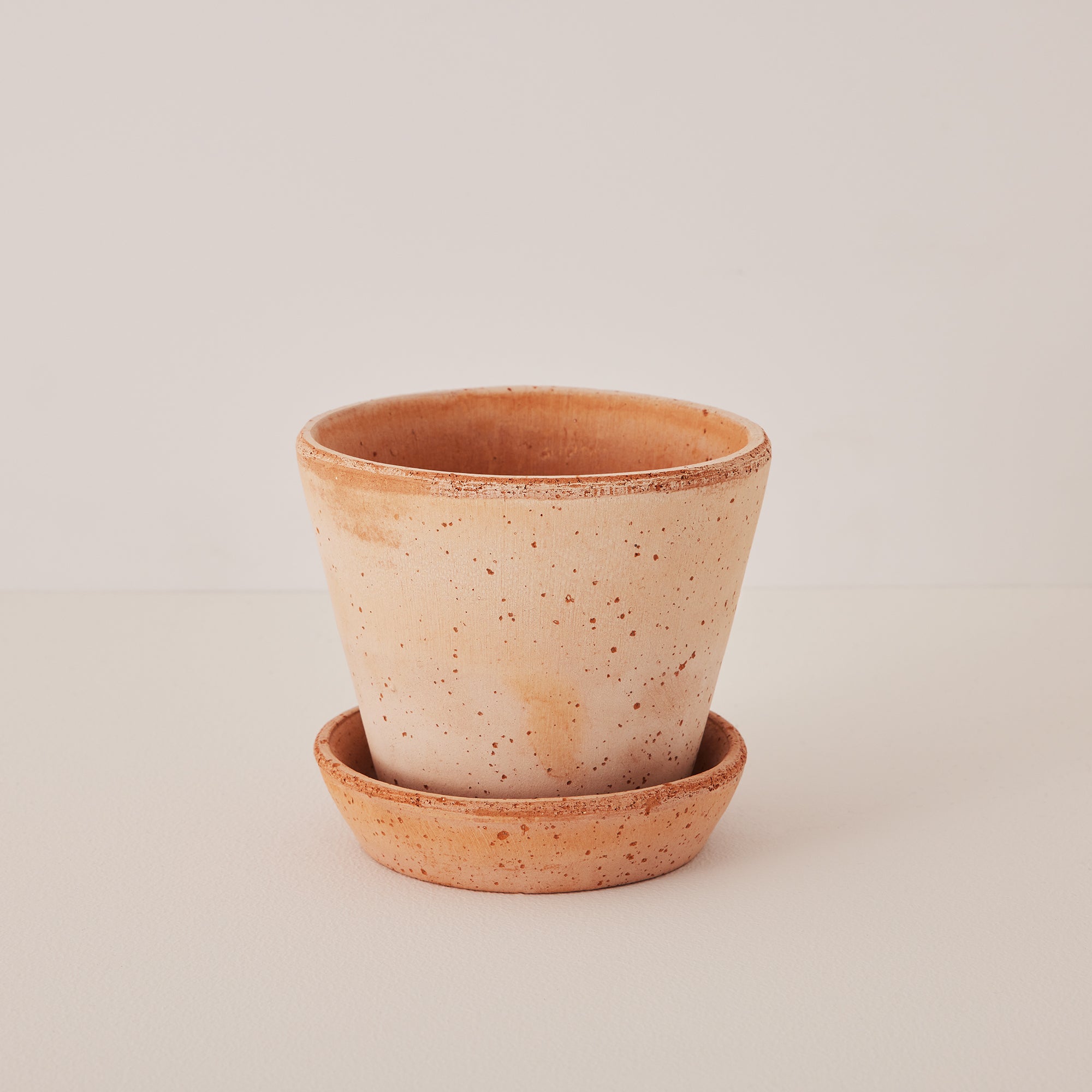 Goodee-Bergs Potter-Julie 12 - Color - Raw Rosa