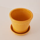Goodee-Bergs Potter-Copenhagen Ø18 Planter & Saucer - Color - Yellow Glazed