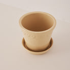 Goodee-Bergs Potter-Copenhagen 18 - Color - Sandstone Glazed