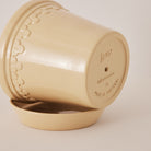 Goodee-Bergs Potter-Copenhagen 18 - Color - Sandstone Glazed