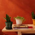Goodee-Bergs Potter-Copenhagen Ø14 Planter & Saucer - Color - Emerald Glazed & Raw Rosa