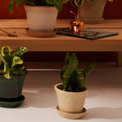 Goodee-Bergs Potter-Copenhagen Ø14 Planter & Saucer - Color - Emerald Glazed & Sandstone Glazed