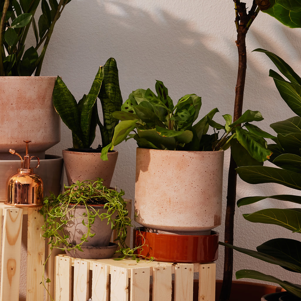 Goodee-Bergs Potter-Hoff Jardinière 18 - Couleur - Raw Rosa