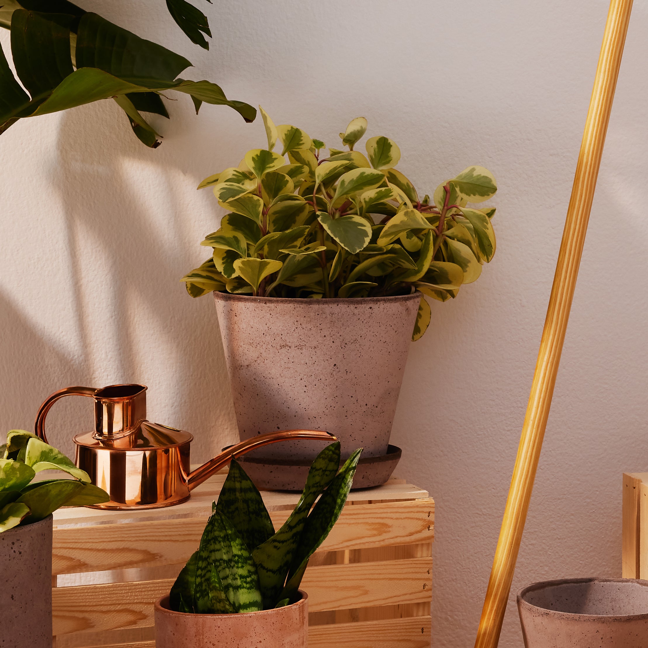 Julie Ø21 Planter & Saucer – Goodee