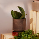 Goodee-Bergs Potter-Hoff Planter 14 - Color - Raw Grey