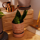 Goodee-Bergs Potter-Hoff Planter 14 - Color - Raw Rosa