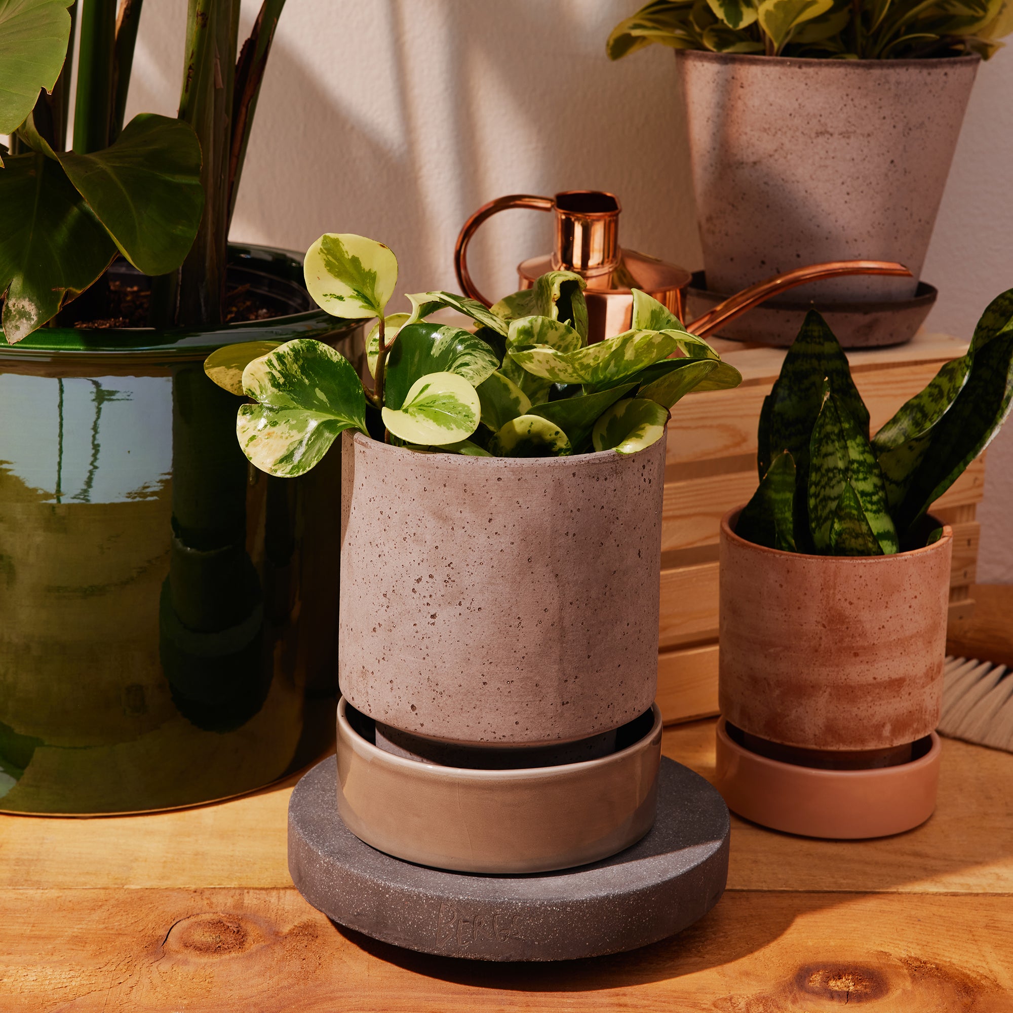 Goodee-Bergs Potter-Plant Trolley 25 - Color - Dark Stone
