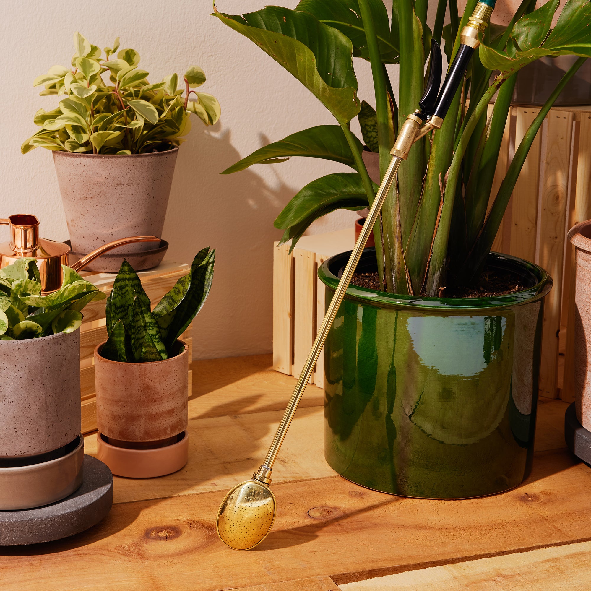 Goodee-Bergs Potter-Modena 35 - Color - Emerald Glazed